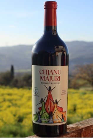 CHJANU MAJURI