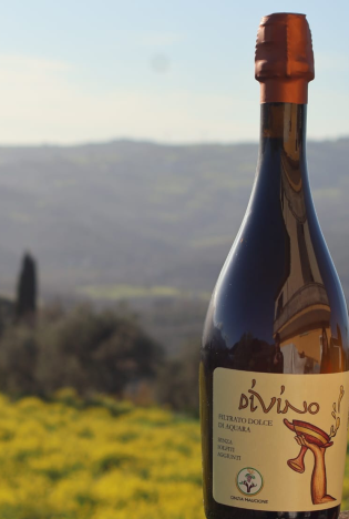 DiVINO