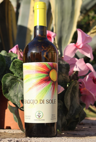 RAGGJO DI SOLE